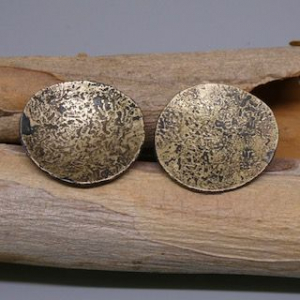 Steel and Gold Earrings